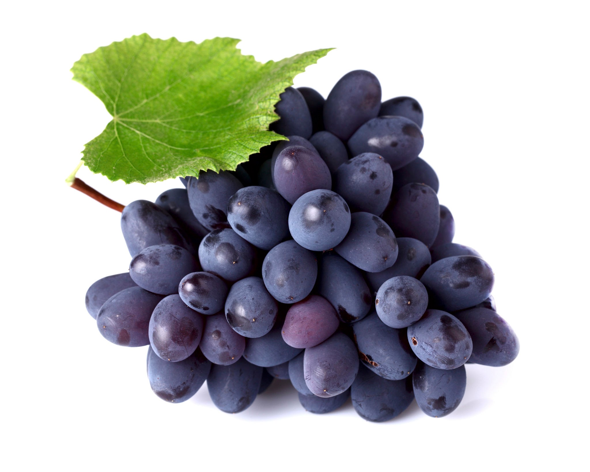 Ripe grapes with leaf on a white background